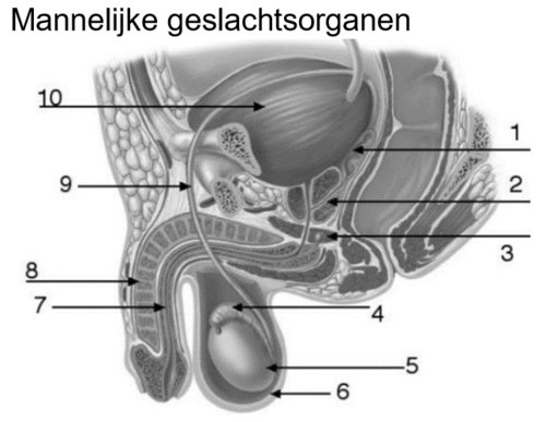Lizaro online casino, lizaro casino login